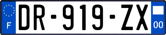 DR-919-ZX