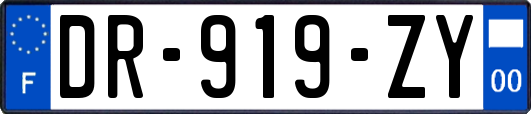 DR-919-ZY