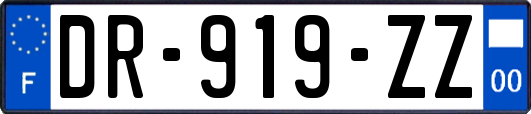 DR-919-ZZ