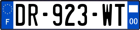 DR-923-WT