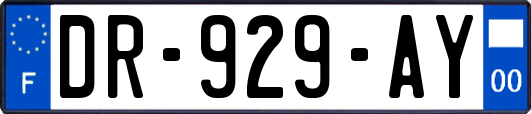 DR-929-AY