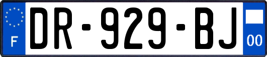 DR-929-BJ