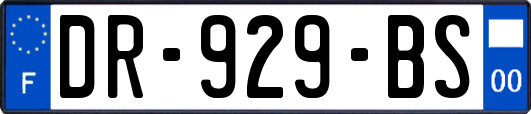 DR-929-BS