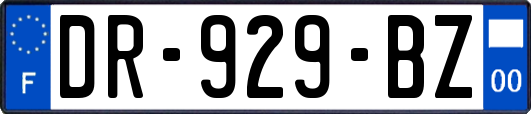 DR-929-BZ