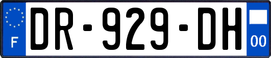 DR-929-DH