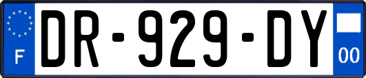 DR-929-DY