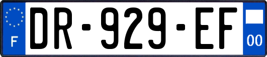 DR-929-EF