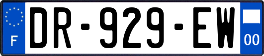 DR-929-EW