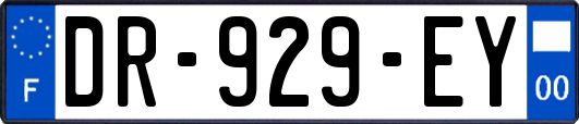 DR-929-EY