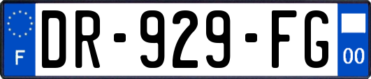 DR-929-FG