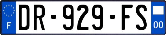 DR-929-FS