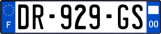 DR-929-GS
