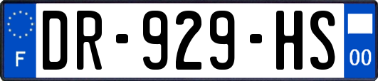 DR-929-HS