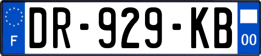 DR-929-KB