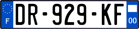 DR-929-KF