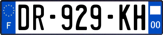 DR-929-KH