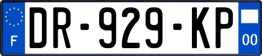 DR-929-KP