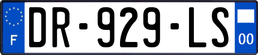 DR-929-LS