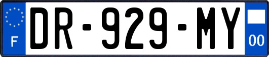 DR-929-MY