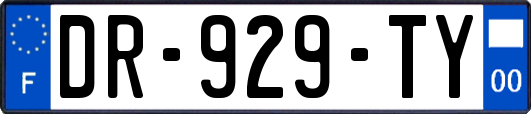 DR-929-TY