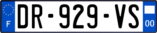 DR-929-VS