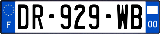 DR-929-WB