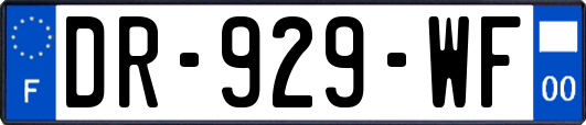 DR-929-WF