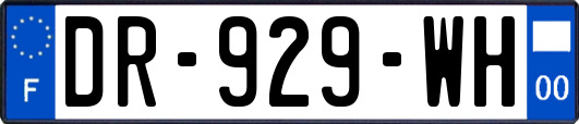 DR-929-WH