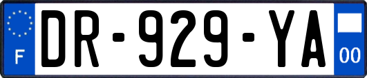 DR-929-YA