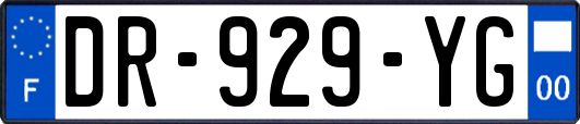 DR-929-YG