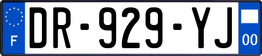 DR-929-YJ