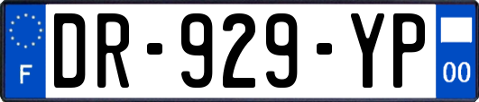 DR-929-YP