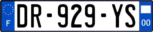 DR-929-YS