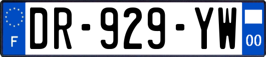 DR-929-YW