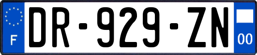 DR-929-ZN