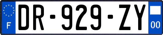 DR-929-ZY