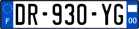 DR-930-YG