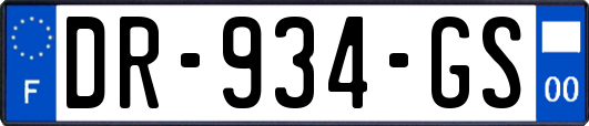 DR-934-GS