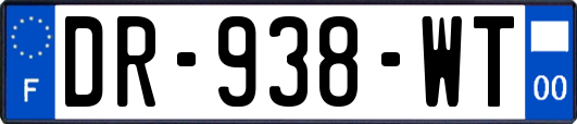 DR-938-WT