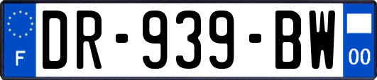 DR-939-BW