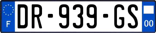 DR-939-GS