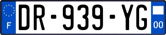 DR-939-YG