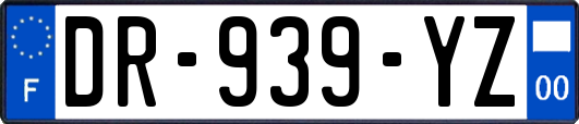 DR-939-YZ