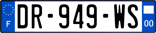 DR-949-WS