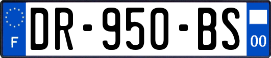 DR-950-BS