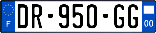 DR-950-GG