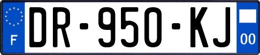 DR-950-KJ