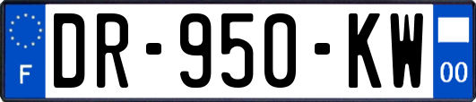 DR-950-KW