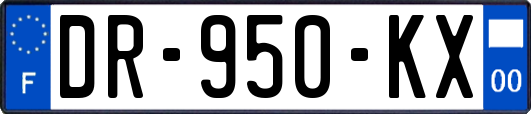 DR-950-KX