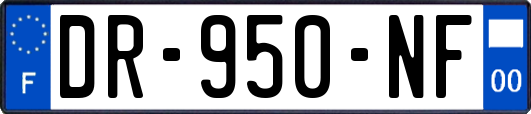 DR-950-NF